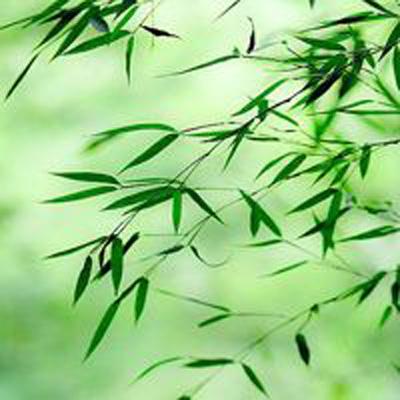 三极正义手游(暂未上线)v1.0 安卓中文版
